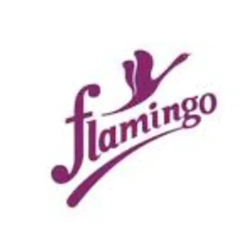Flamingo Orthopedic.