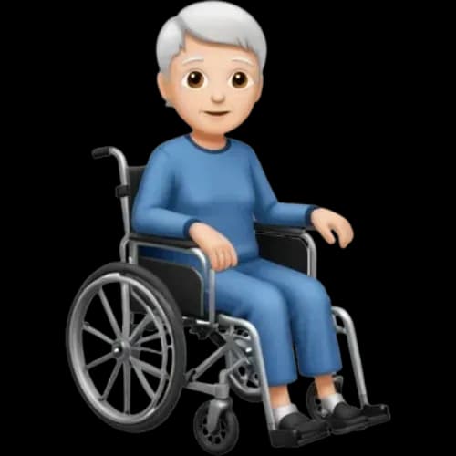 Wheelchair